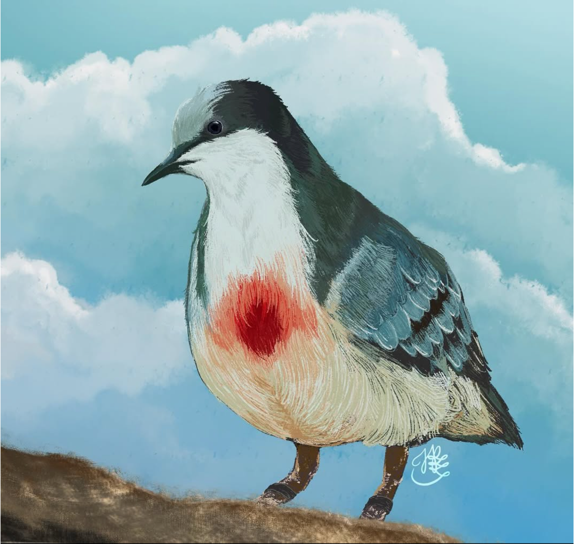 Luzon Bleeding Heart